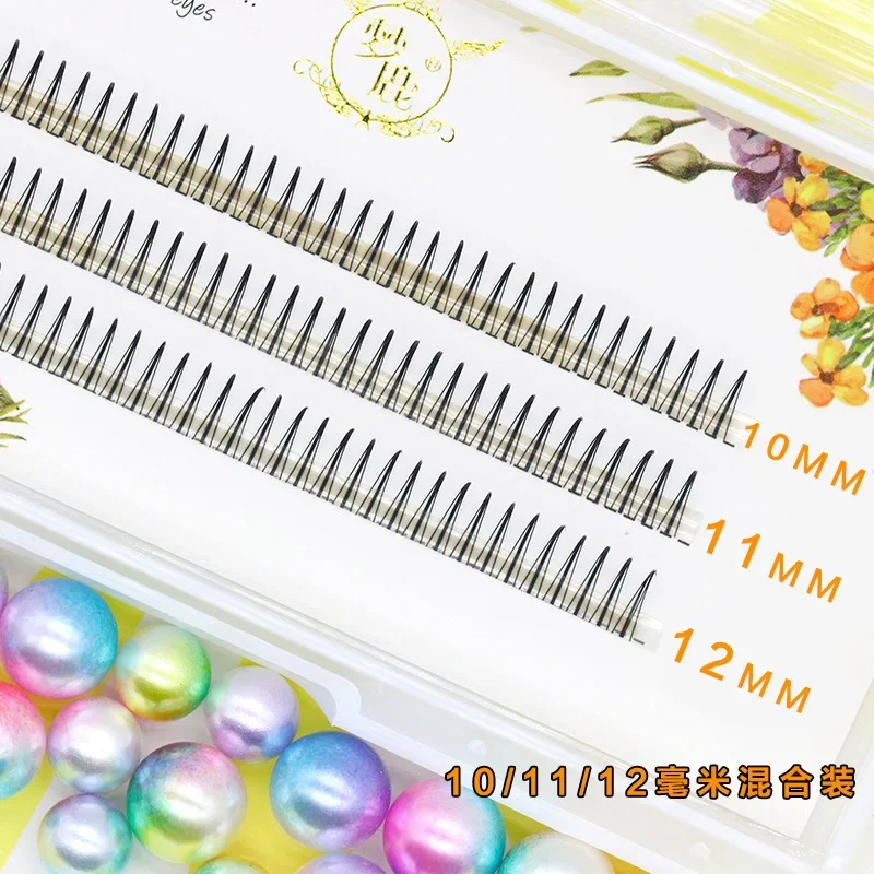 Dream Deer A/M jenis A bulu ma - Eyelash Extension Korea ulasan dan harga